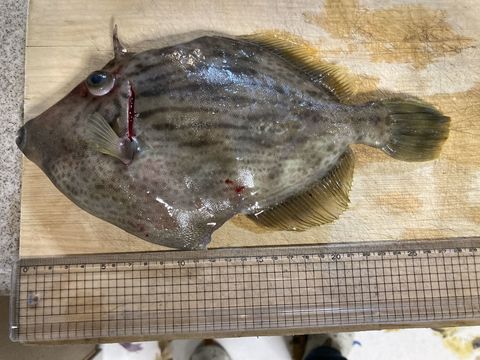 20220130_090534162_iOS.jpg