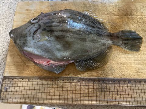 20220130_091350651_iOS.jpg