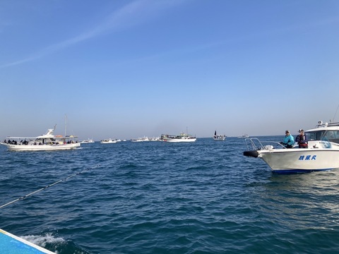 S__48979979_0.jpg