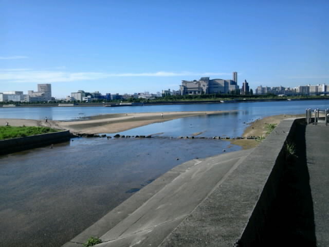 今朝の夙川河口