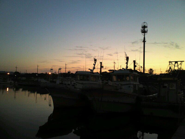 2013011304 2013011304